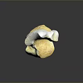 Handmade Wood And Stone Decorative Sculpture With Smooth Yellow White Natural Texture Design