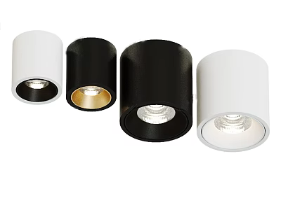 Modern Black and White Downlights and Spotlights with Sleek Styles for Interior Lighting 3d model