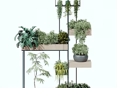 Indoor Decorative Potted Plants On Multi Tiered Shelf With Various Green Species And Stylish Planters 3d model