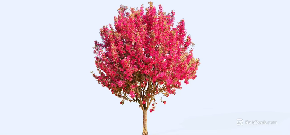 Stunning Blooming Arbor With Vibrant Pink Flowers Against Light Blue Sky 3d model 