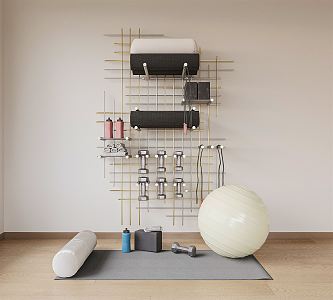 Modern Fitness Equipment Home Yoga Fitness Room 3d model