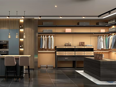 Modern Wardrobe Room With Wooden Cabinets Clothing Racks Display Shelves And Lighting 3d model