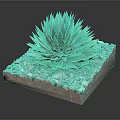 Healthy Green Agave Plant In Square Container With Colorful Pebbles Around Base