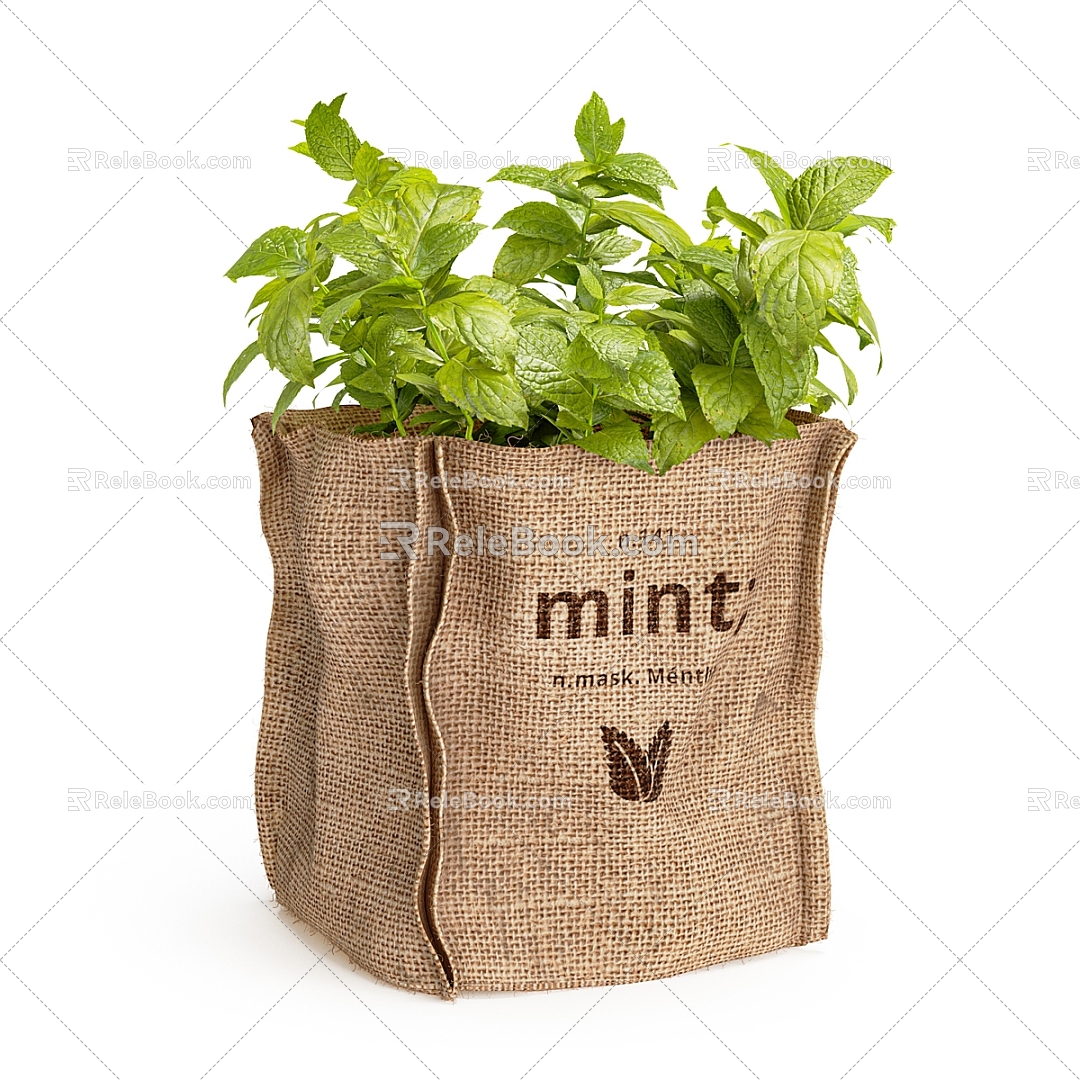 Mint floral ornaments 3d model