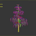 Lush Coffee Plant With Green Leaves And Red Berries On Yellow Stem
