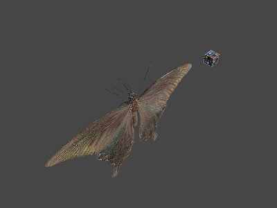Close Up View Of Butterfly And Colorful Cube On Gray Background Scene 3d model