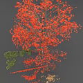 Tall Arbor With Vibrant Red Leaves And Fallen Leaves Around Small Shrubs