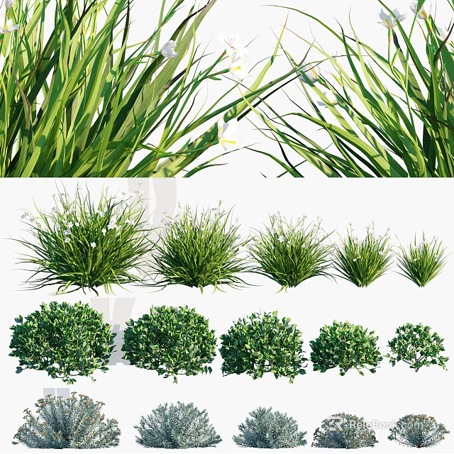 Various Types of Lush Green Grass and Shrub Plants Varieties 3d model 