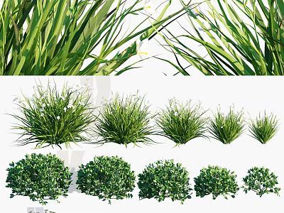 Various Types of Lush Green Grass and Shrub Plants Varieties 3d model