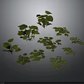Green Plants With Various Leaf Shapes And Fresh Foliage Collection 3d model