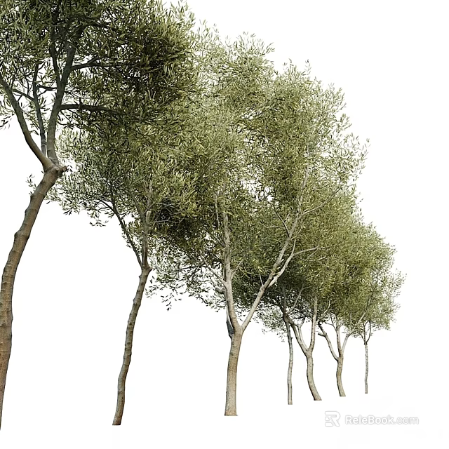 Lush Green Arbor Trees With Multiple Brown Trunks And Fresh Foliage In Natural Landscape 3d model 