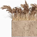 Decorative Ornament Set with Pampas Grass in Concrete Planter for Home Decor