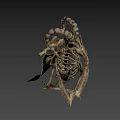Skeletal Dragon Game Movie Character With Metallic Structure And Intricate Bones