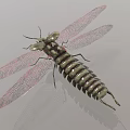 Modern mechanical worm 3d model