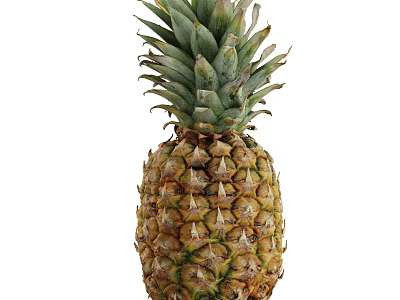 Fresh Ripe Pineapple With Green Leafy Top And Golden Yellow Skin 3d model