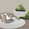 Stylish Leisure Chair On Round Rug With Green Plants And Warm Sunlight