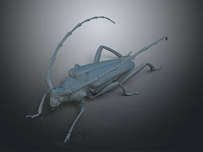 3D Rendered Beetle With Long Antennae Multiple Legs And Gray Tone On Dark Background 3d model