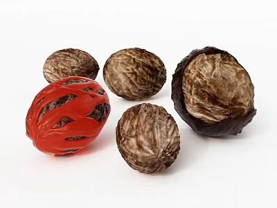 Natural Walnuts Displaying Different Shell Patterns And Red Decorative Piece 3d model