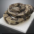 Brown and Tan Patterned Coiled Snake Resting on White Platform Surface 3d model