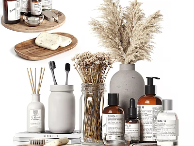 Stylish Bathroom Accessories With Wooden Tray Aromatherapy Bottles Brushes And Dried Flowers 3d model