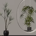 Potted Palm Like Plants With Black Pots In Interior Mirror Reflection 3d model