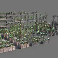 Fresh Food Vegetables Display On Multiple Shelves With Various Green Plants And Produce