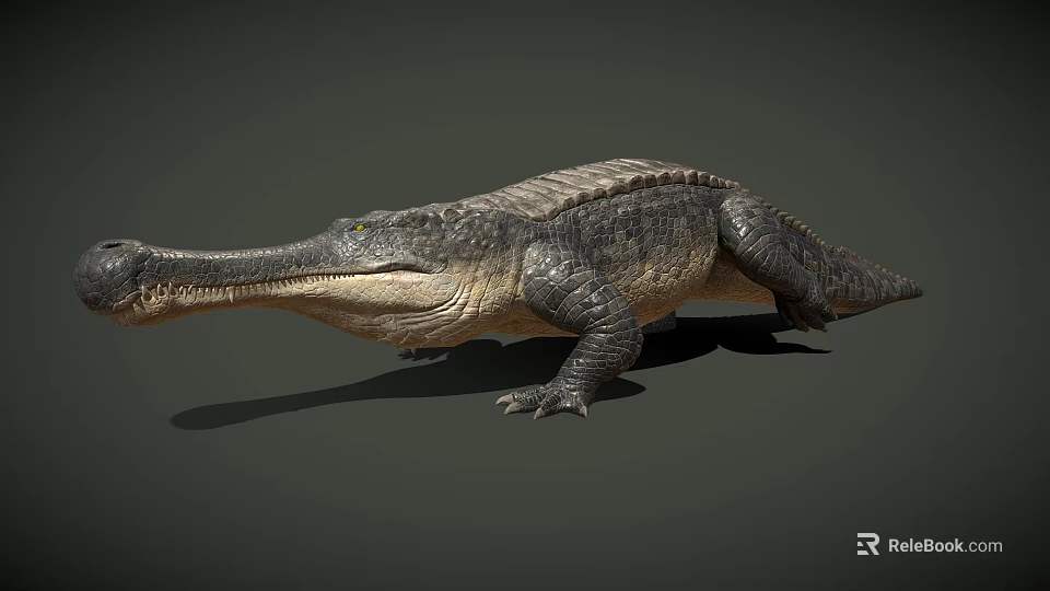 Realistic 3D Crocodile Model With Detailed Skin Texture And Lifelike Pose 3d model 