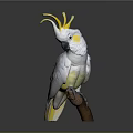 White Cockatoo With Yellow Crest Standing On Brown Branch Against Gray Background