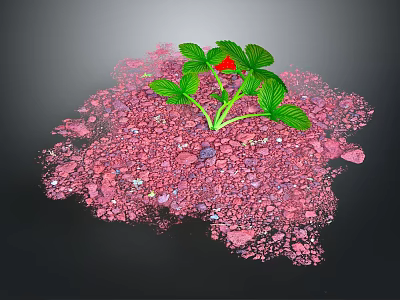 Vibrant Green Leafy Plant With Red Flower Growing In Pink Gravel 3d model