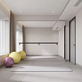 Modern Indoor Fitness Area With Yoga Mat Exercise Balls And Large Mirror
