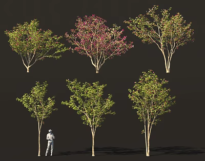 Different Types of Leafy Shrubs with Green and Pink Foliage for Garden Landscaping 3d model