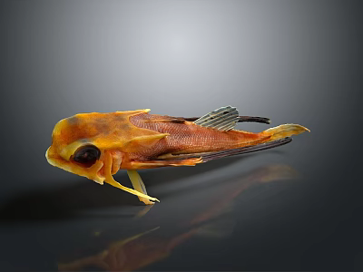 Vibrant Orange Yellow Fish Featuring Large Eyes And Distinctive Fins Appearance 3d model