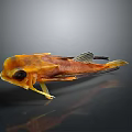 Vibrant Orange Yellow Fish Featuring Large Eyes And Distinctive Fins Appearance