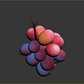 Fresh Red And Purple Grapes With Green Vine On Dark Background