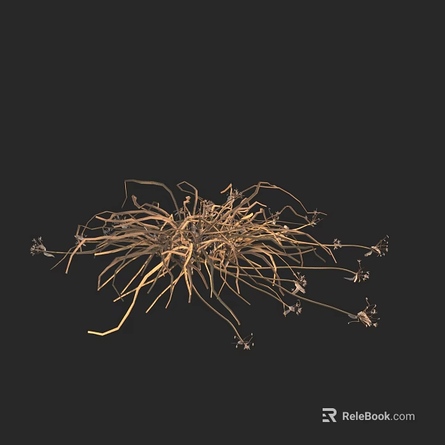 Delicate Stemmed Flowers With Small Blooms And Natural Texture On Black Background 3d model 