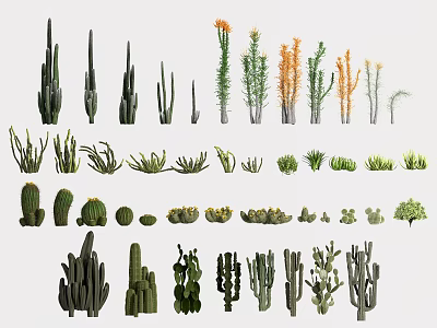Different Cactus And Succulent Plant Varieties For Indoor Decoration 3d model