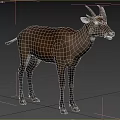 Ma's Wu Horn Deer Huo's 3d model