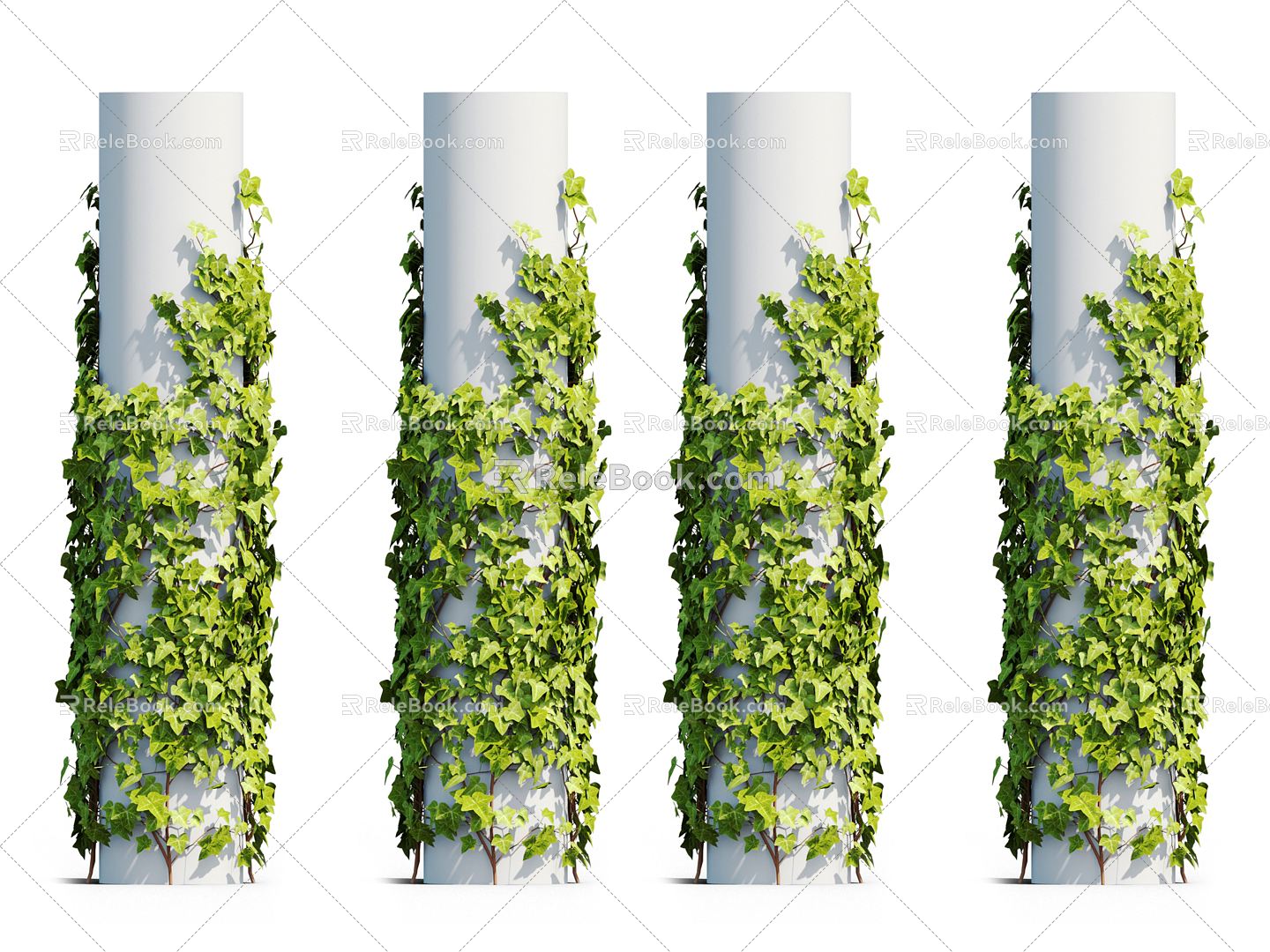 Modern Vine Vine Plant 3d model