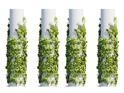 Modern Vine Plant 3d model