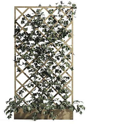 Lush Green Vine Climbing on Wooden Lattice with Dense Foliage 3d model