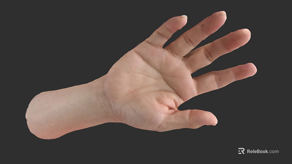 Human Hand and Arm with Open Palm Structure Details Against Dark Background 3d model