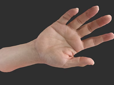 Human Hand and Arm with Open Palm Structure Details Against Dark Background 3d model