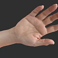 Human Hand and Arm with Open Palm Structure Details Against Dark Background 3d model