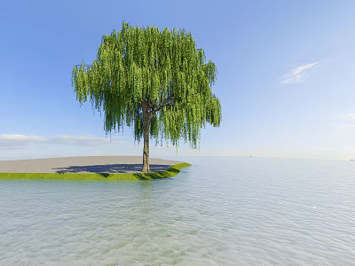 Weeping Willow Tree Growing By Calm Water Under Blue Sky And White Clouds 3d model