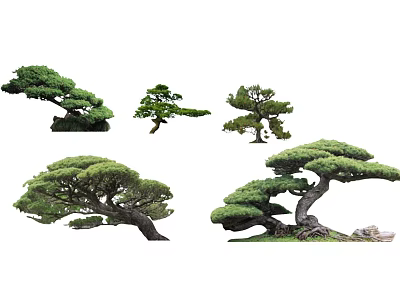 Various Shaped Arbor Trees With Green Foliage And Curved Trunks 3d model