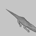 Realistic Crocodile With Open Mouth Detailed Scales And Sharp Teeth On Black Background