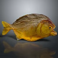 Golden Piranha Fish Statue With Sharp Teeth And Yellow Tail 3d model