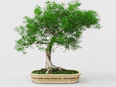 Artistic Bonsai Tree with Twisted Trunk Exposed Roots and Lush Green Leaves in Woven Pot 3d model