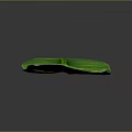 Green Banana Leaf with Vibrant Color and Visible Veins on Dark Background
