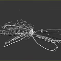 White Line Butterfly Design With Particle Effect On Gray Background And Reflection